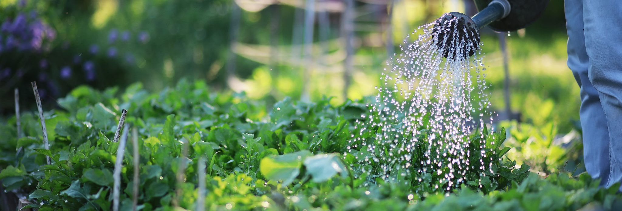 About Us Ripley Gas, Water + Wastewater